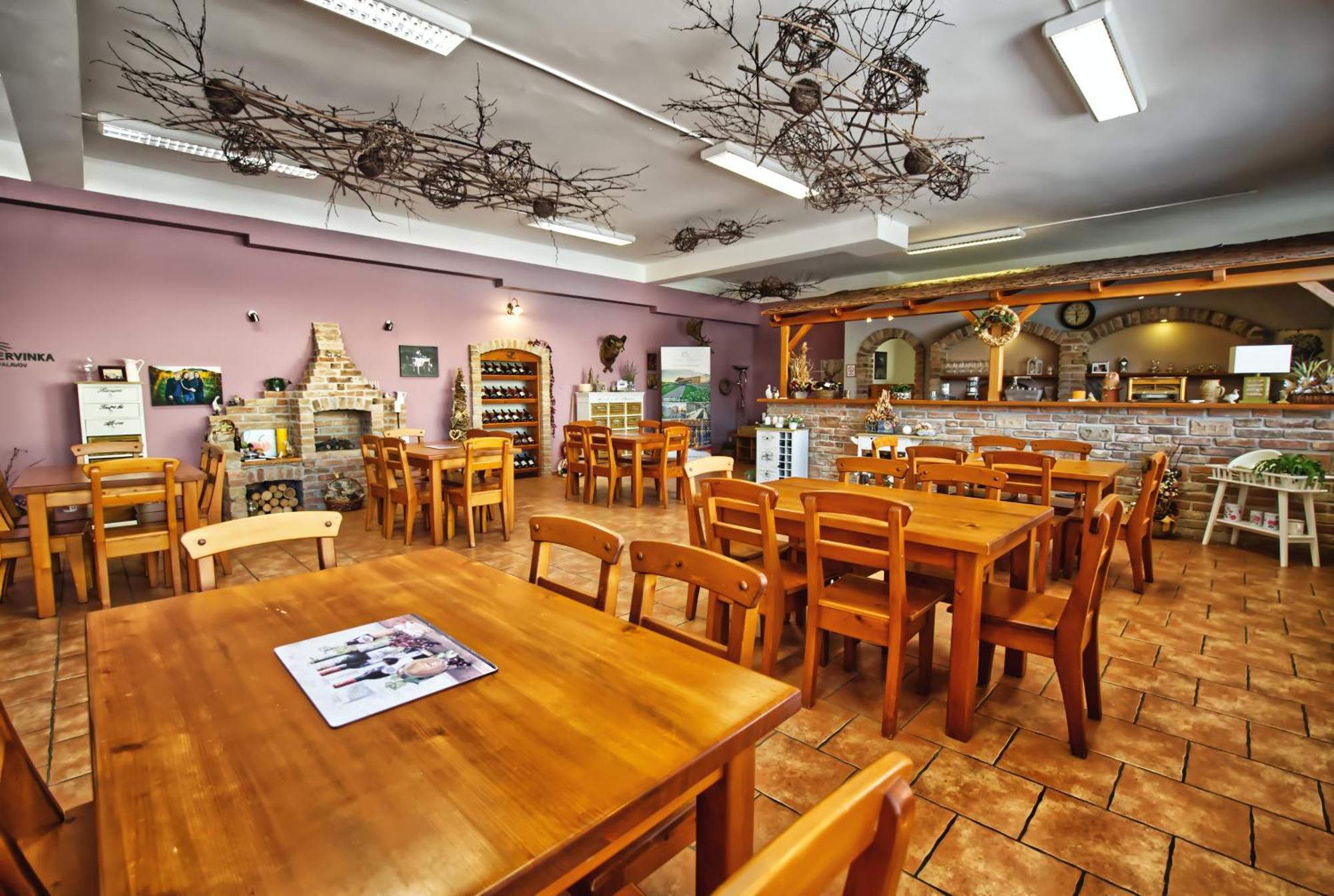 Penzion Vinarstvi Cervinka Horni Vestonice Bagian luar foto