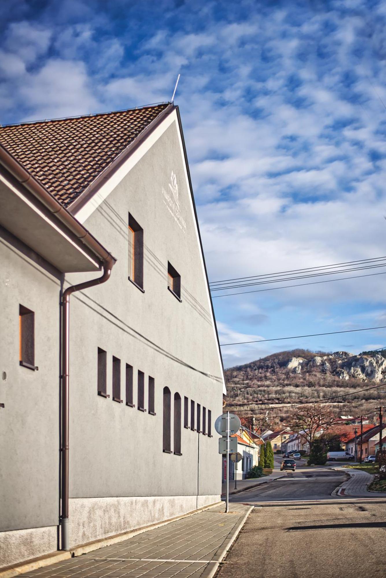 Penzion Vinarstvi Cervinka Horni Vestonice Bagian luar foto